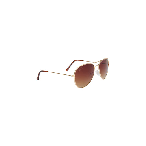 Morning Golden Brown Gradient